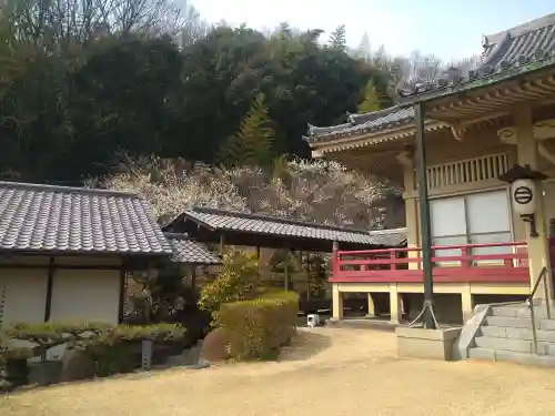 駕龍寺の景色