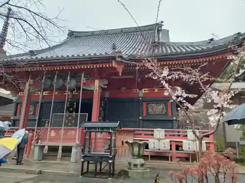 楽法寺（雨引観音）の本殿・本堂