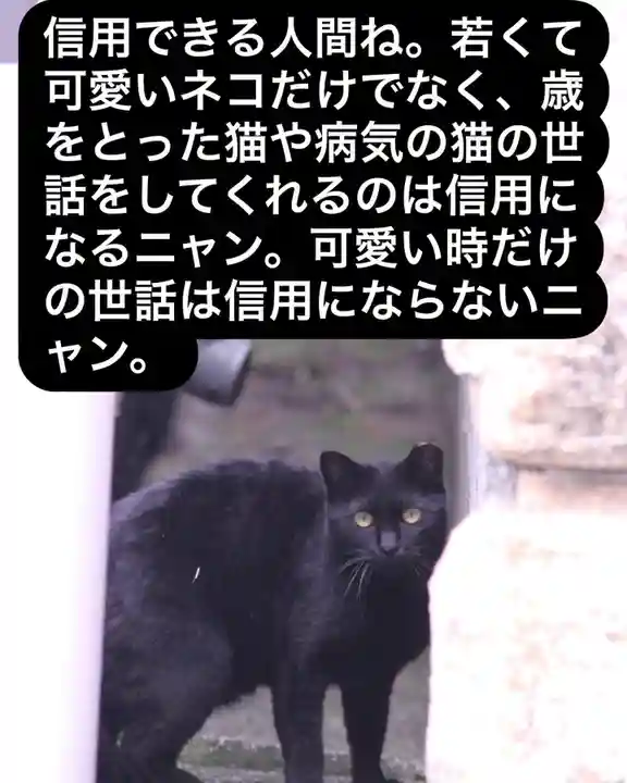 専念寺(大阪府)