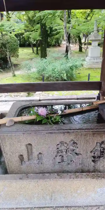 真正極楽寺(真如堂)の手水舎