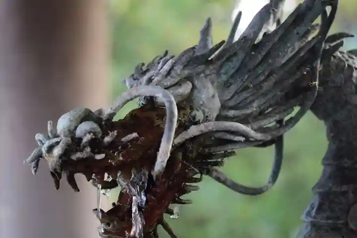 越中一宮 髙瀬神社の手水舎