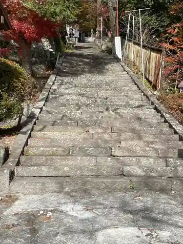 金櫻神社(山梨県)