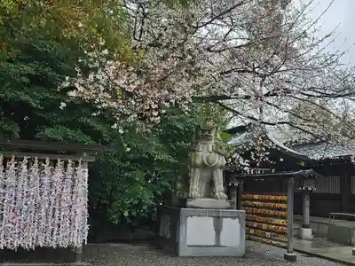 寒川神社(神奈川県)