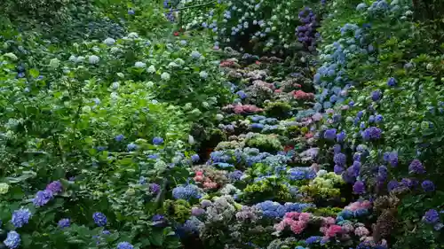 長谷寺(奈良県)
