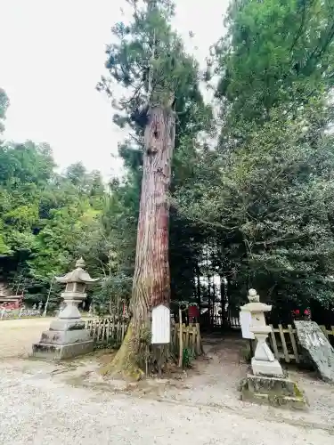 宇太水分神社(奈良県)