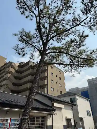 別小江神社(愛知県)