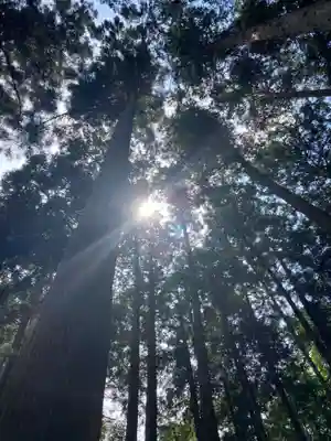 太平山神社(栃木県)