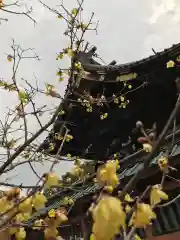 板倉雷電神社の自然