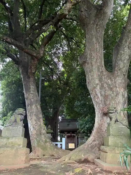 王子神社(千葉県)