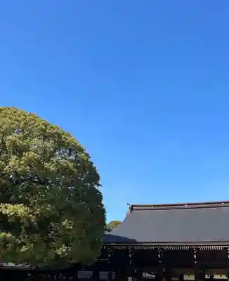 明治神宮(東京都)