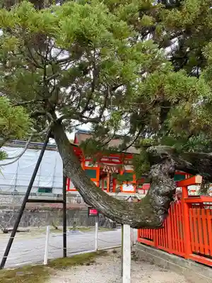 香椎宮(福岡県)