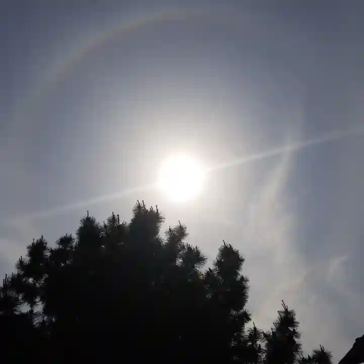 船橋東照宮の自然