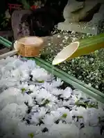 東京羽田 穴守稲荷神社(東京都)