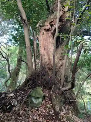 八坂神社(千葉県)