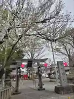 相模原氷川神社(神奈川県)