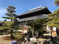 興禅寺の本殿・本堂