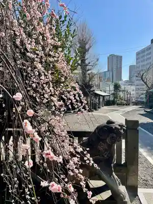 筑土八幡神社(東京都)