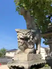 三津厳島神社の狛犬