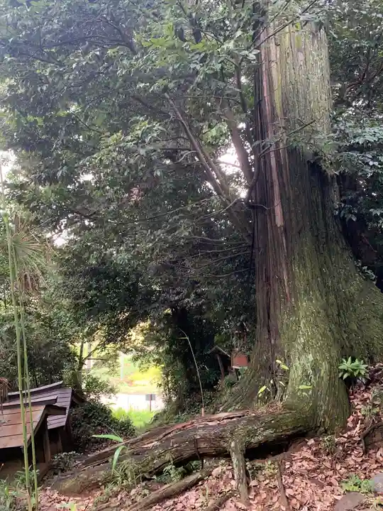 大國主神社(千葉県)