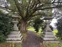 藤越神社(京都府)