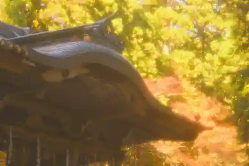 最乗寺（道了尊）(神奈川県)