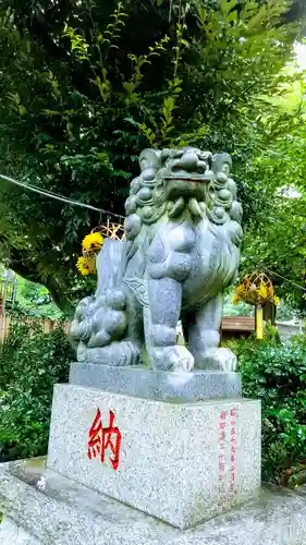 菊田神社の狛犬
