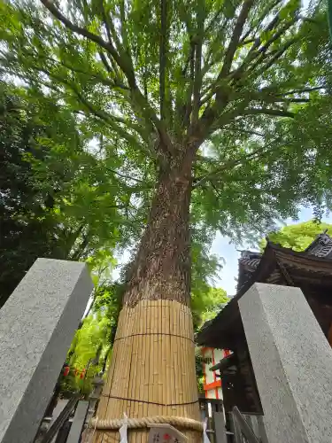 田無神社(東京都)