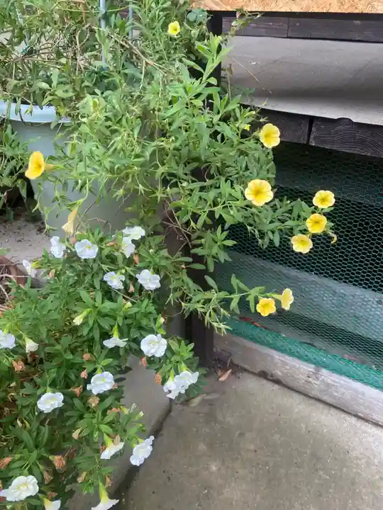 岡部春日神社~👹鬼門よけの🌺花咲く🌺やしろ~(福島県)