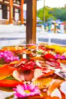 くろ谷 金戒光明寺の手水舎