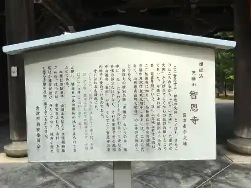 智恩寺(京都府)