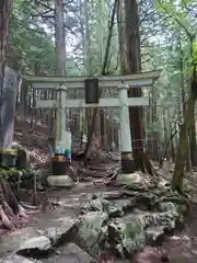 三峯神社の鳥居