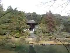 円成寺の庭園