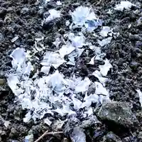 阿久津「田村神社」(郡山市阿久津町)旧社名:伊豆箱根三嶋三社のお祭り