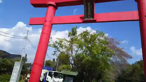 白笹稲荷神社の鳥居