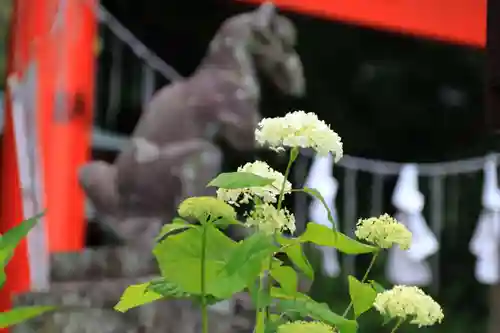 神炊館神社 ⁂奥州須賀川総鎮守⁂の庭園