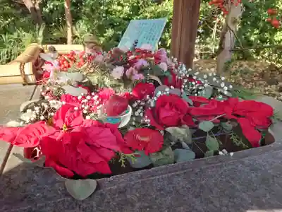 狭山八幡神社(埼玉県)