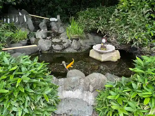 櫻木神社(千葉県)