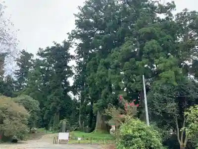 村山浅間神社(静岡県)