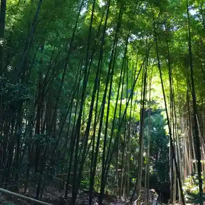 愛宕神社の周辺
