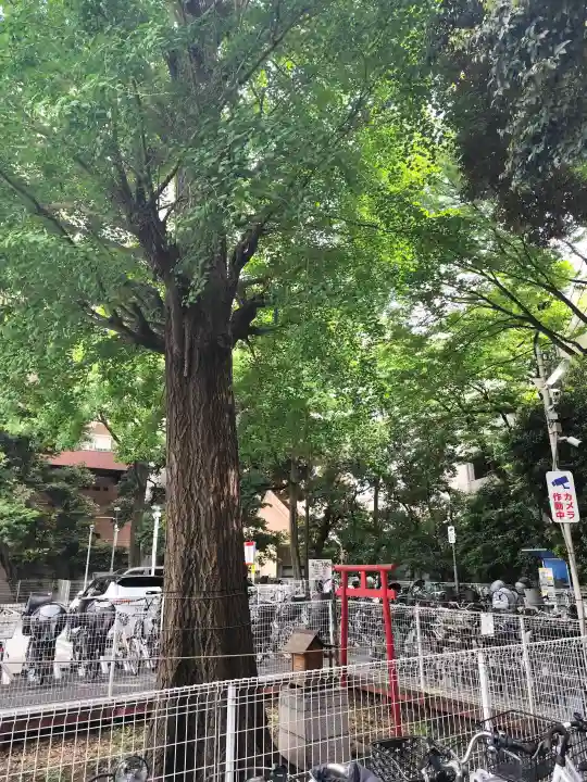 稲荷神社の{uncategorized: "未分類", other: "その他", undefined: "問題あり", building: "その他建物", grave: "お墓", sacred_gate: "鳥居", guardian: "狛犬", statue: "像", buddha: "仏像", history: "歴史", nature: "自然", garden: "庭園", animal: "動物", pagoda: "塔", temizu: "手水舎", mountain_gate: "山門・神門", sanctuary: "本殿・本堂", subordinate: "末社・摂社", art: "芸術", scenery: "景色", jizo: "地蔵", ema: "絵馬", goshuin: "御朱印", omikuji: "おみくじ", items: "授与品その他", amulet: "お守り", goshuincho: "御朱印帳", eats: "食事", festival: "お祭り", votive_dance: "神楽", shichigosan: "七五三参", wedding: "結婚式", experience: "体験その他", initially: "初詣", around: "周辺", anti_infection: "感染症対策"}