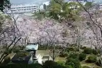 烏森稲荷神社(佐賀県)
