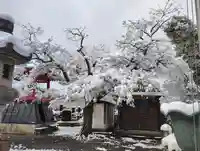 大蔵院(群馬県)