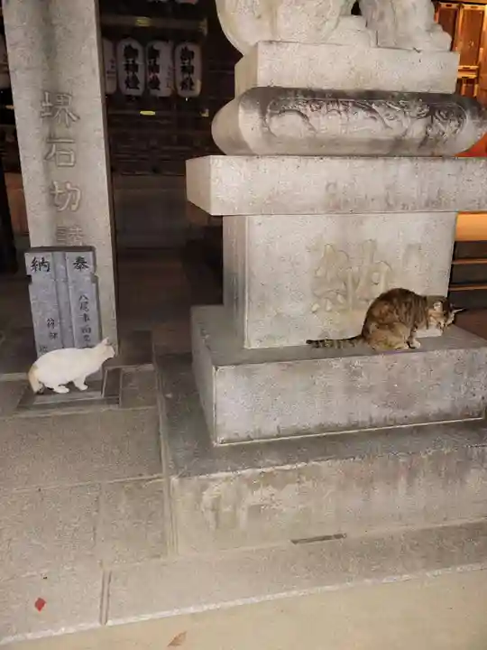 石切劔箭神社の動物