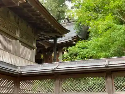 天河大辨財天社の本殿・本堂