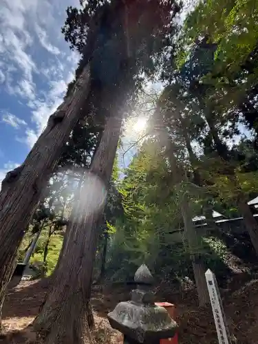 新宮熊野神社(福島県)