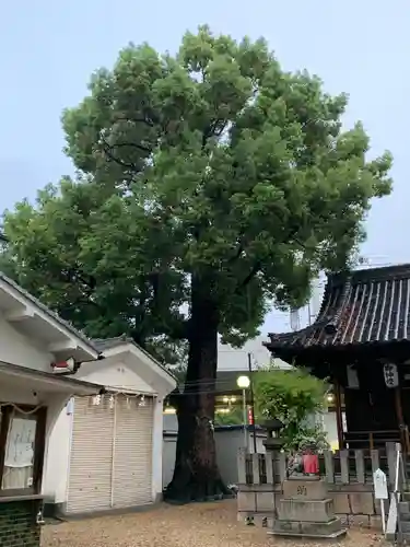 島頭天満宮(大阪府)