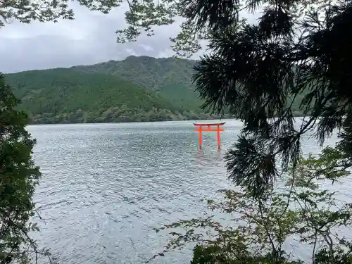 九頭龍神社本宮の{uncategorized: "未分類", other: "その他", undefined: "問題あり", building: "その他建物", grave: "お墓", sacred_gate: "鳥居", guardian: "狛犬", statue: "像", buddha: "仏像", history: "歴史", nature: "自然", garden: "庭園", animal: "動物", pagoda: "塔", temizu: "手水舎", mountain_gate: "山門・神門", sanctuary: "本殿・本堂", subordinate: "末社・摂社", art: "芸術", scenery: "景色", jizo: "地蔵", ema: "絵馬", goshuin: "御朱印", omikuji: "おみくじ", items: "授与品その他", amulet: "お守り", goshuincho: "御朱印帳", eats: "食事", festival: "お祭り", votive_dance: "神楽", shichigosan: "七五三参", wedding: "結婚式", experience: "体験その他", initially: "初詣", around: "周辺", anti_infection: "感染症対策"}