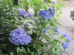 坐摩神社(大阪府)