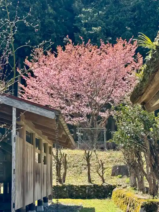 春日神社(京都府)