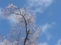 豊龍神社(山形県)